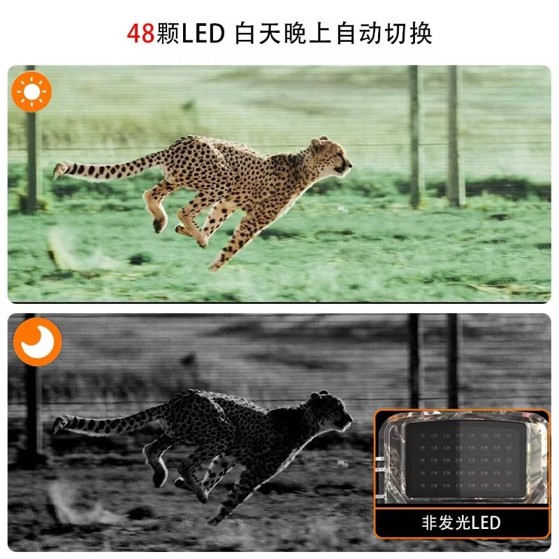 핫세일 DL001 사냥용 카메라 동물 추적 사냥용 카메 - Outdoor Hunting Images 리뷰 및 가격