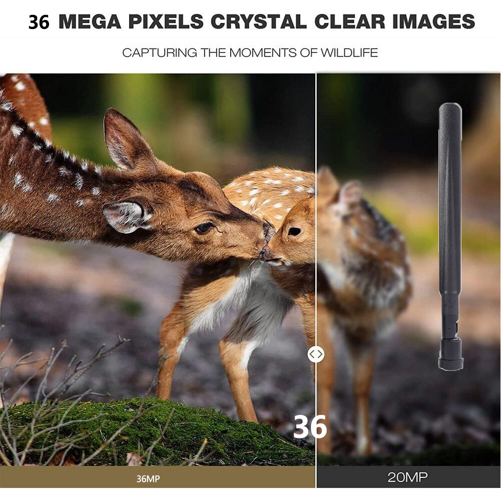 HC-801Pro 야외 사냥 카메라 4K 화질 4G 지 - Outdoor Hunting Pictures 리뷰 및 가격