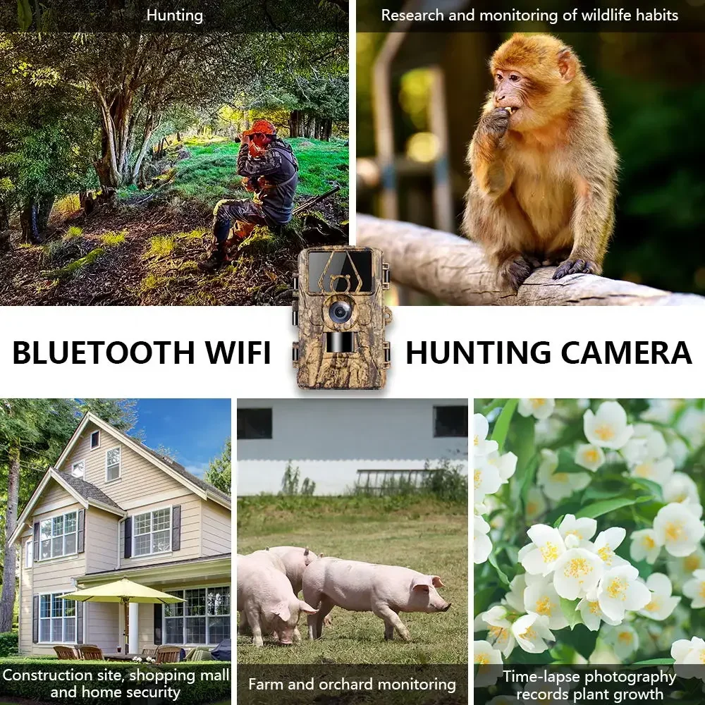 PR801W WIFI 8K 60MP 디지털 트레일 카메 - Outdoor Hunting Digital Night Vision 리뷰 및 가격