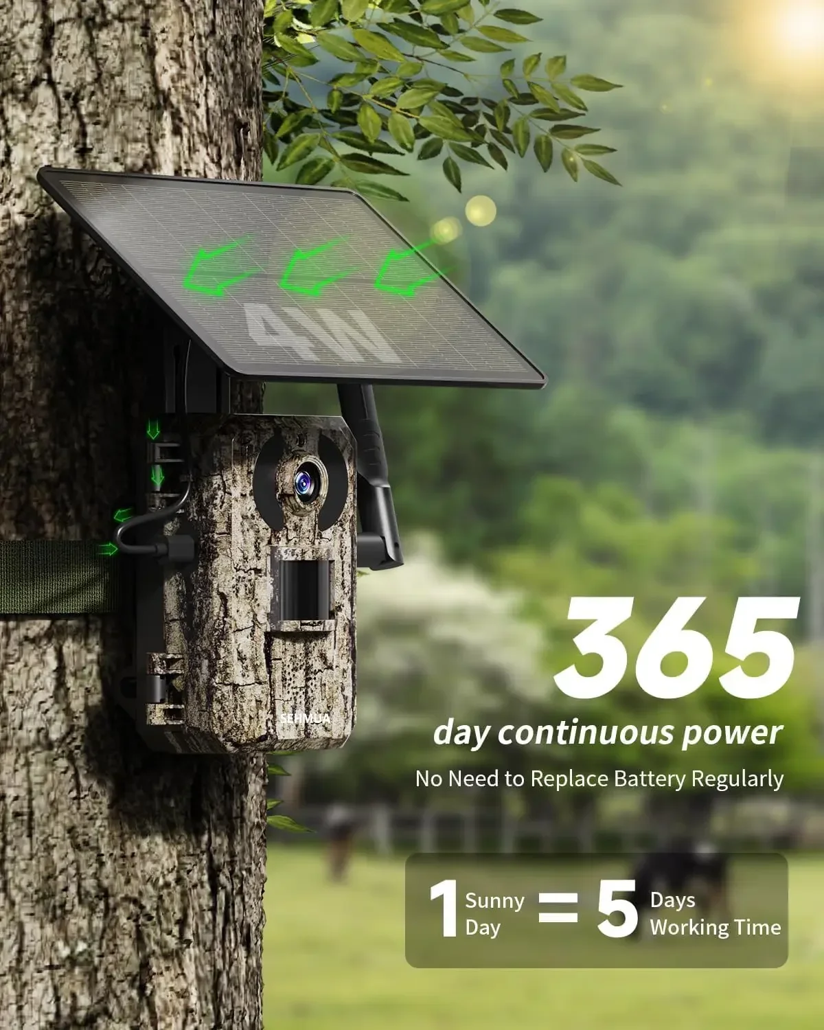 3세대 4G LTE 셀룰러 트레일 카메라 - 2K 라이 - Trail Camera Infrared 리뷰 및 가격